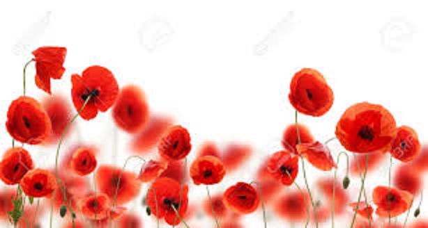 Volunteers sought for the RSLWA’s Poppy Project